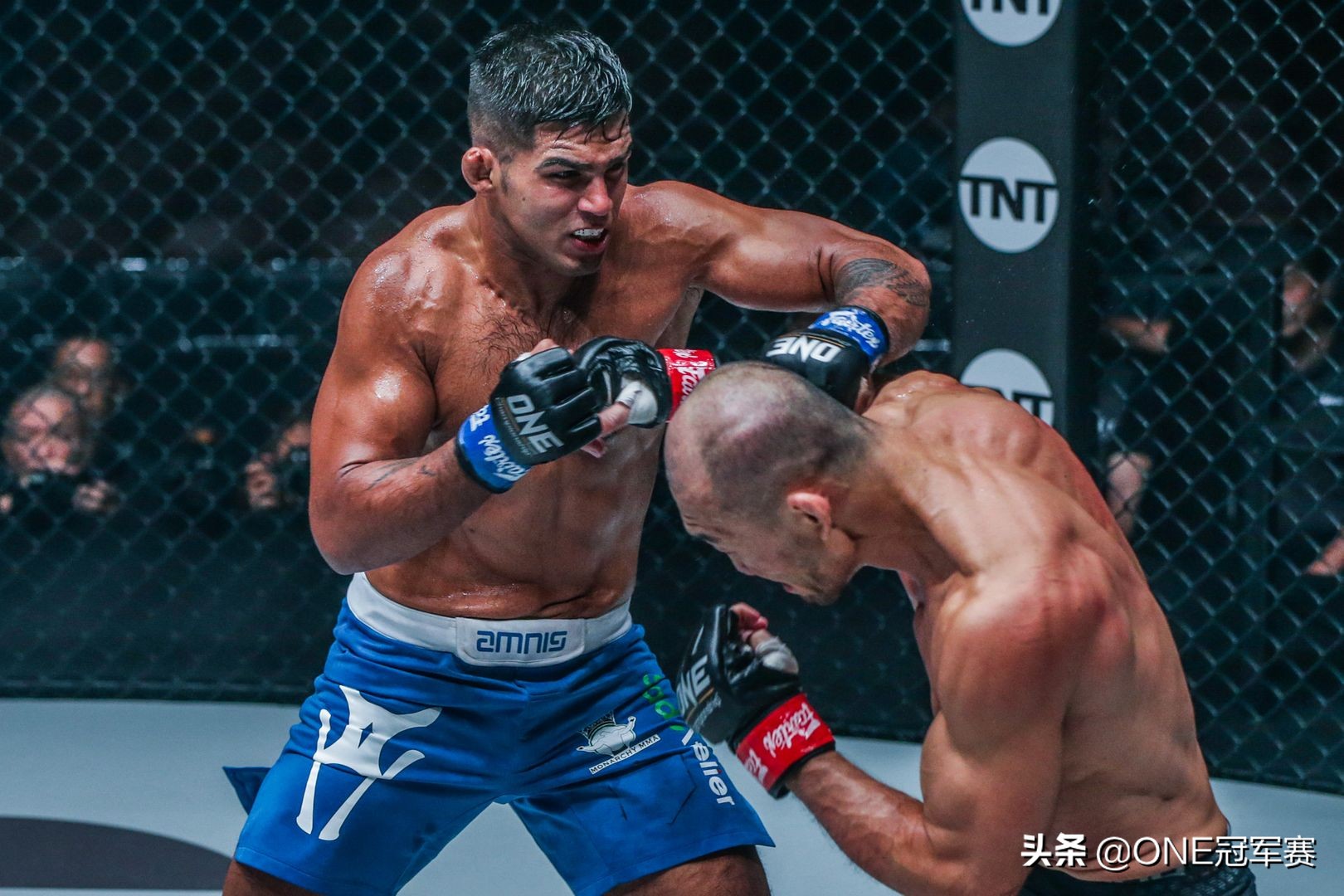 未尝一败的前一句,未尝一败