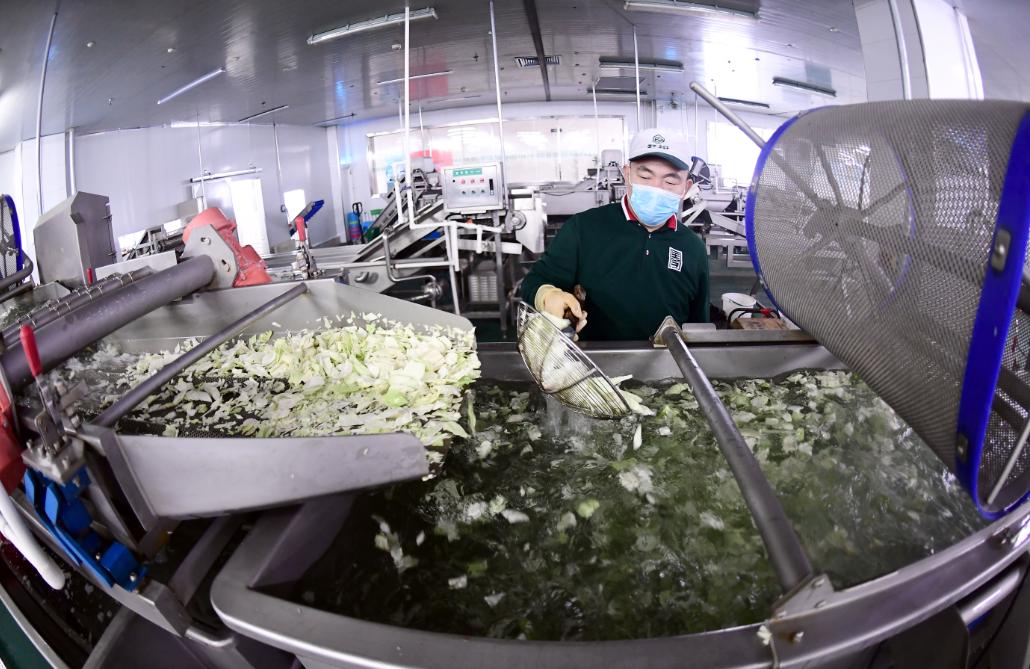 沈阳国字菜篮子配送,沈阳皇姑国字菜篮子