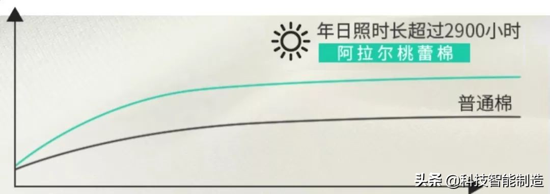 黑马t恤,黑马t恤女
