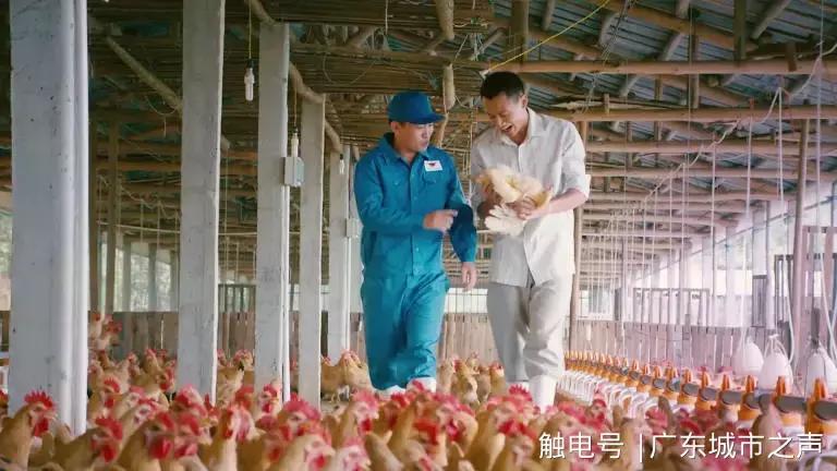 云浮融入广州都市圈,云浮的乡村振兴战略