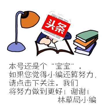践行两山理念厚植高质量发展底色,践行两山理论推动新时代农村建设