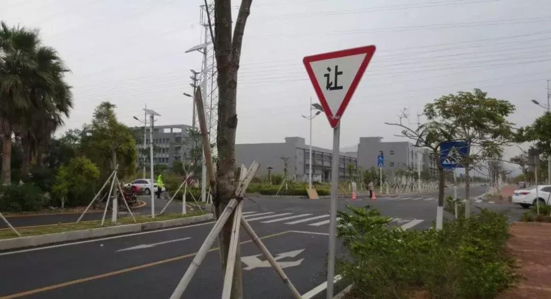 男子开三轮车被撞飞出去安全落地,男子骑摩托车被货车撞倒
