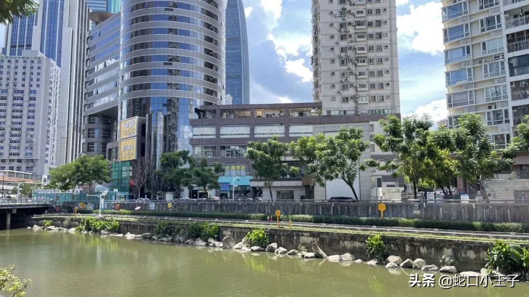深圳茶颜悦色要等多久,深圳茶颜悦色文和友店