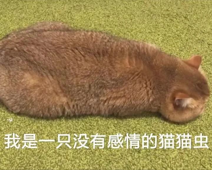 前胸后背的痘疤怎么去除,前胸后背长痘涂什么药膏