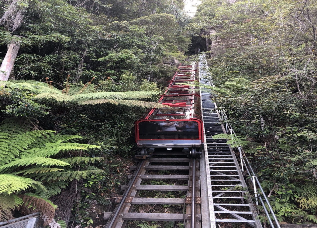 初游澳洲，从冬天飞往夏天——悉尼蓝山+墨尔本大洋路7天经典路线