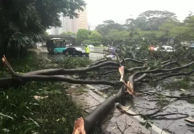 台风是怎么形成的科普视频,台风是怎么形成的幼儿科普