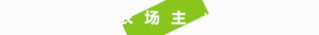纸上种菜怎么赚钱,纸上种菜手把手教你