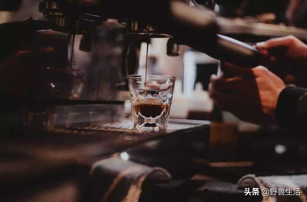 研究表明喝咖啡的好处,研究表明喝咖啡最好时间段