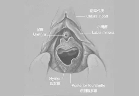根本不存在“*处破**”这件事，处女膜本来就是破的｜女孩别怕