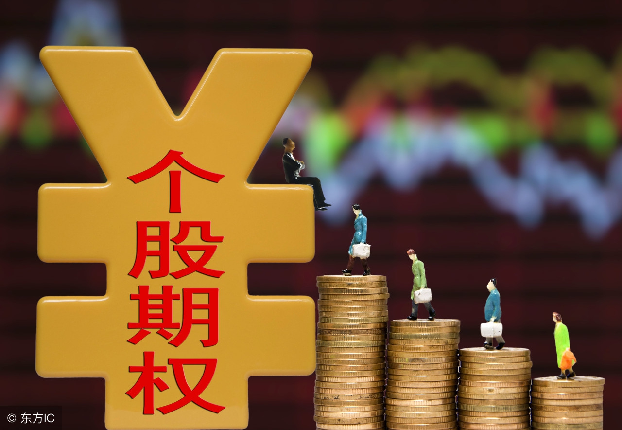 期权怎样快速上手,期权和股票期权的区别