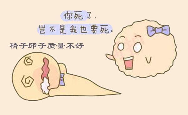 孕早期胚胎停止发育hcg还会升高吗,生第一胎是男孩第二胎是女孩