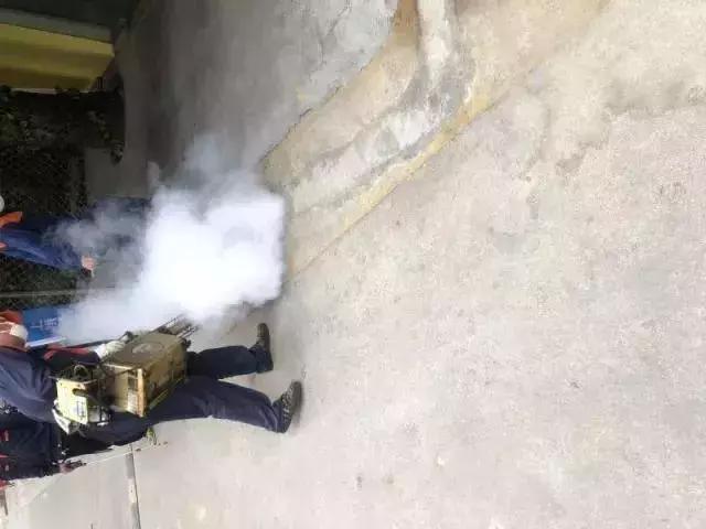 除四害消灭老鼠,治理四害老鼠