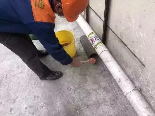 除四害消灭老鼠,治理四害老鼠