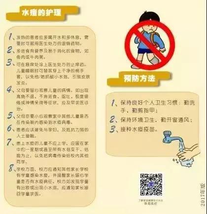 除四害消灭老鼠,治理四害老鼠