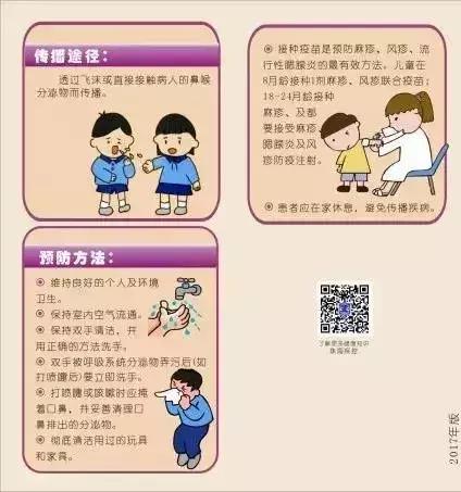 除四害消灭老鼠,治理四害老鼠
