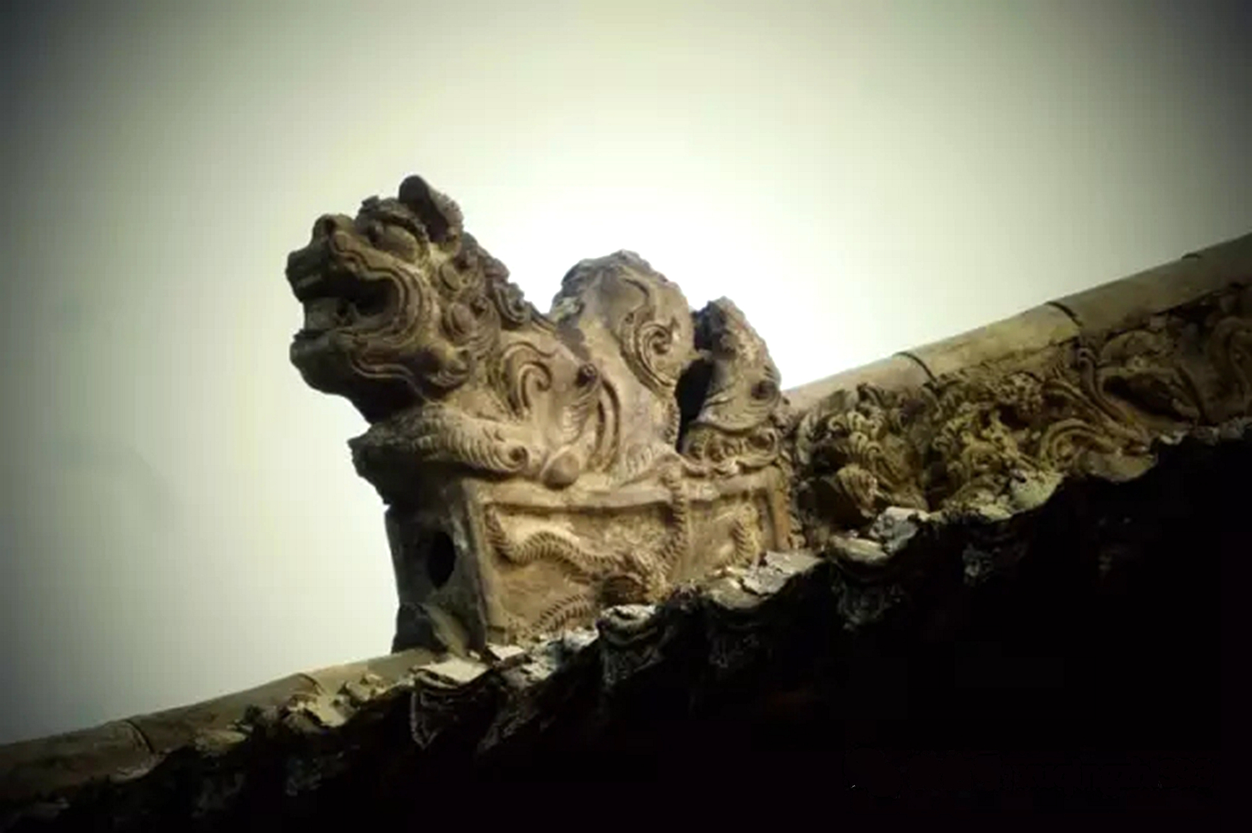 洛阳净土寺：愿你出走半生，回来仍是少年