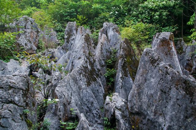 广安华蓥瀑布景区,四川华蓥山石林