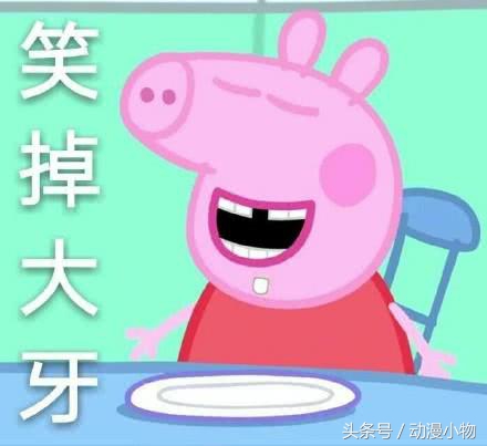 小猪佩奇表情包一点都不好笑,小猪佩奇表情包cool