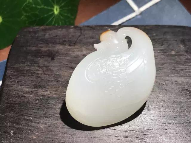 狗年说狗闲谈中国狗文化,狗年说狗警犬