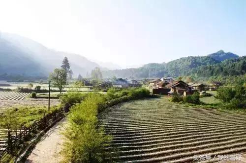西安免费踏青赏花好去处,春天西安适合踏青的地方