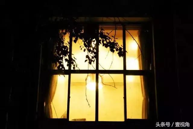 石家庄哪的公园樱花开了,石家庄樱花现在还有吗