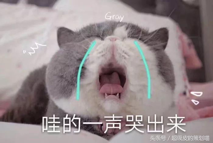 怎么操作抖音粉丝通,如何玩转微博超话