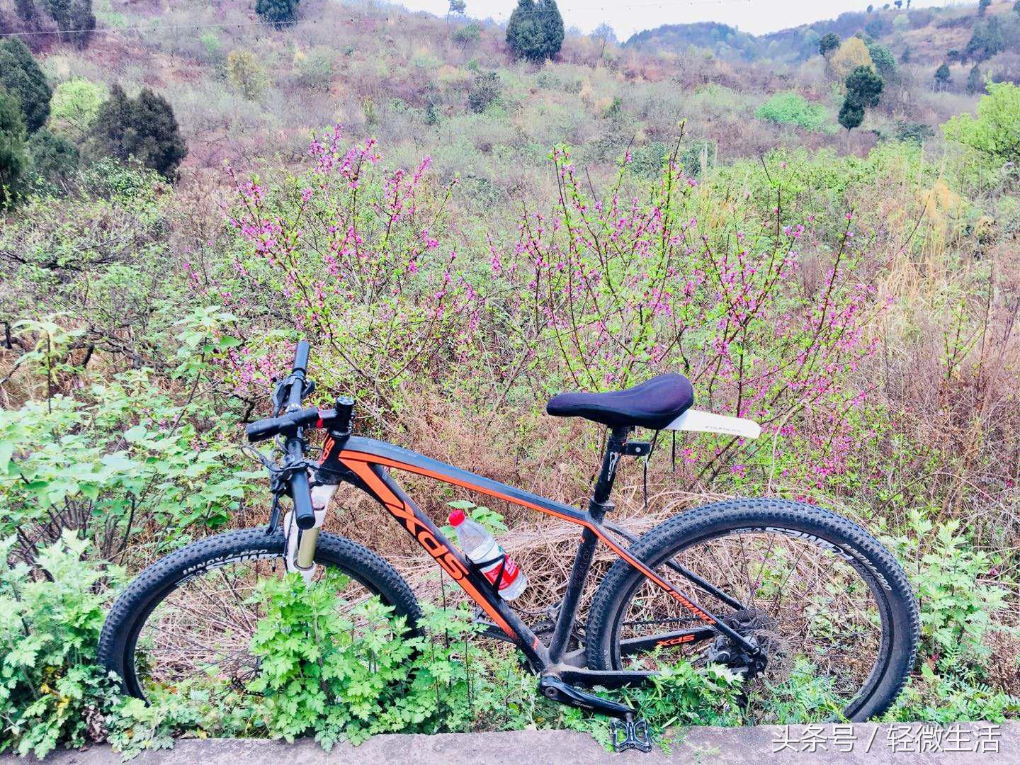 骑记：桃花十里，只取其一