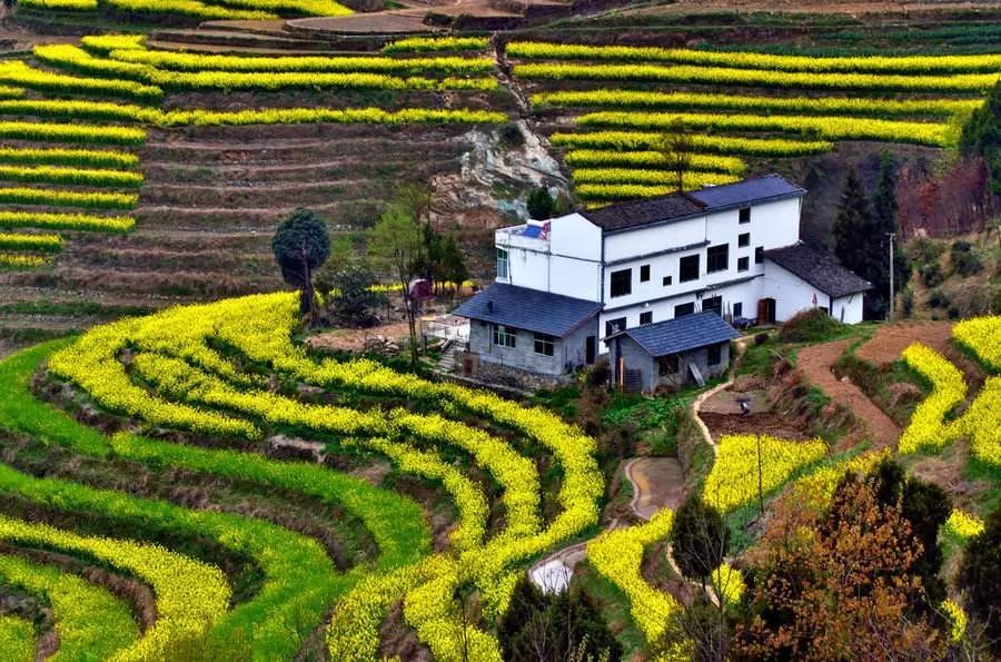 西安清明自驾,西安清明自驾免费景点