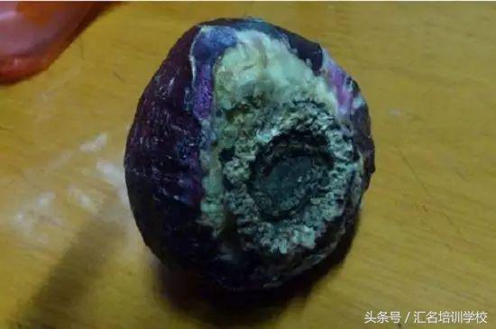 养花烂根枯萎怎么办用什么西药,养花养草烂叶怎么办