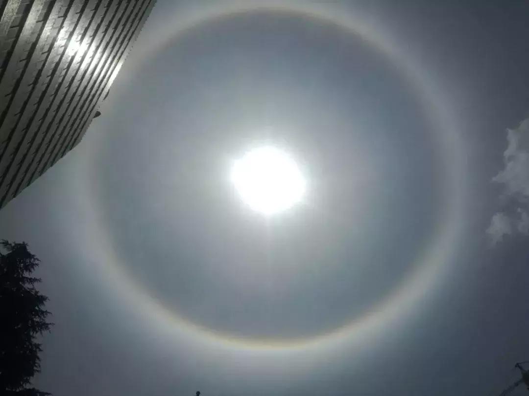 今天的太阳很特别，网友调侃：有妖怪！懂的人笑了：日晕三更雨