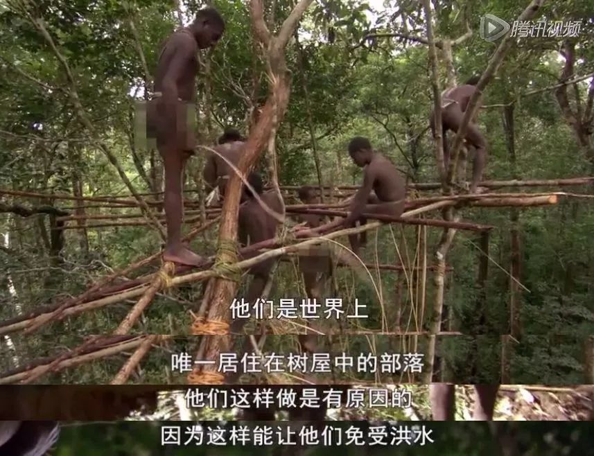 bbc承认纪录片造假,bbc纪录片造假