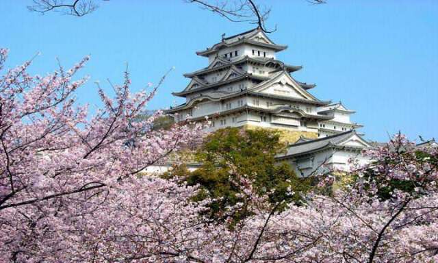 日本旅游日语领会,不懂日语去日本旅游