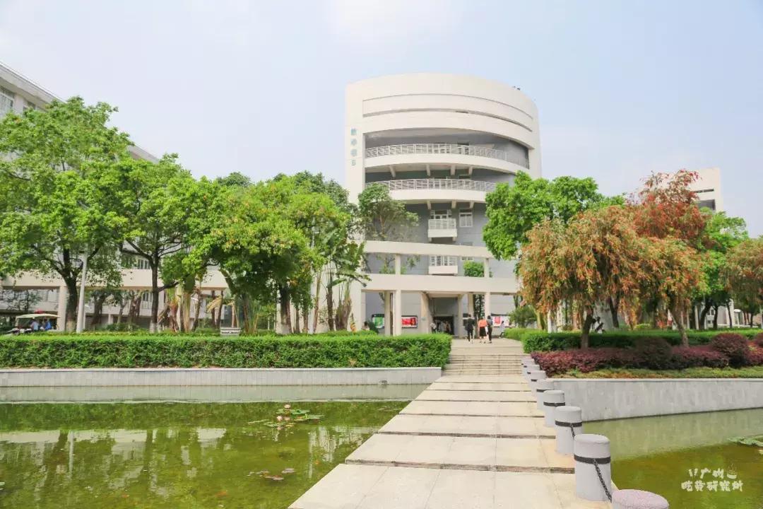 星海乐曲学院行进,星海乐曲学院声乐系颜值