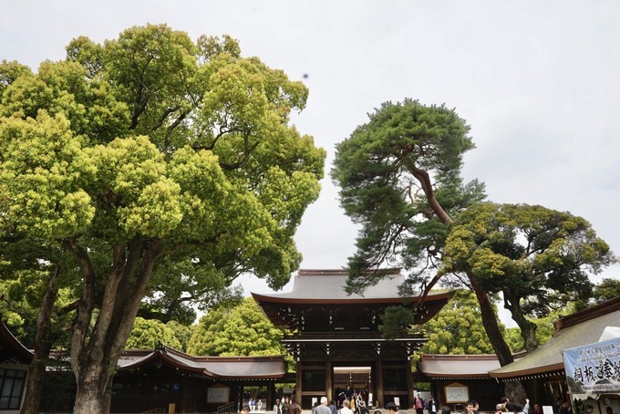 妯辫姳瀛ｅ幓鏃ユ湰涓滀含鏃呮父,涓滀含涓ゅぉ鏆磋蛋涔嬫梾