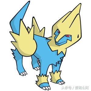 神奇宝贝大图鉴,神奇宝贝图鉴大全集