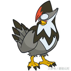 神奇宝贝大图鉴,神奇宝贝图鉴大全集