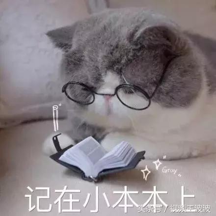 ikea宜家的东西好用吗,宜家ikea必买物品