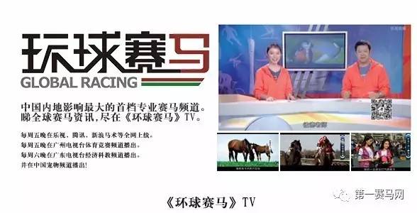 「广州百年赛马系列③」戛然而止！广州赛马何去何从？-1赛马网