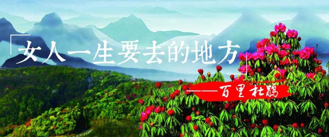 单反相机入门教程与摄影技巧,摄影新手如何提升技术