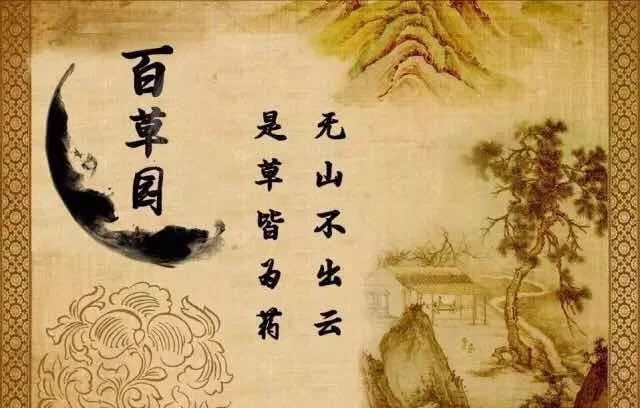 「百草园」止咳化痰温润肺气——百部（九十一）