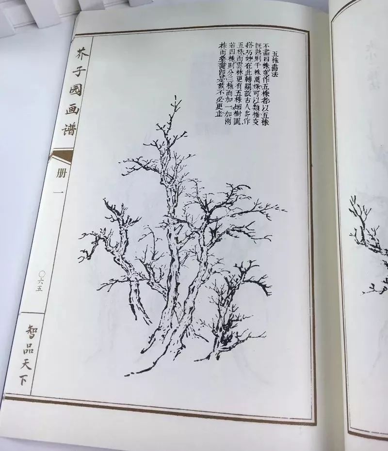 美女出浴，遭两个秃顶老头偷看！