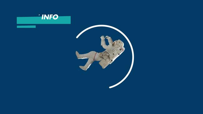 除了VansJapan，偏爱“日本制”的Vans还在默默推动着一个老司机系列