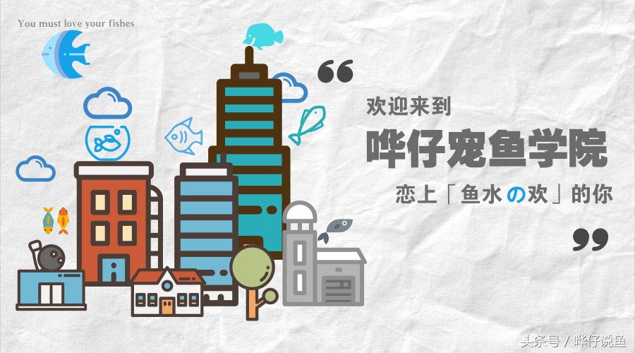 夏天宠物太热,天气热了哪些宠物鱼好养