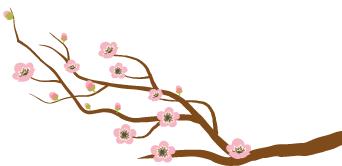 北大荒青年五四奖章获奖集体—齐齐哈尔管理局中心医院外二科事迹展播