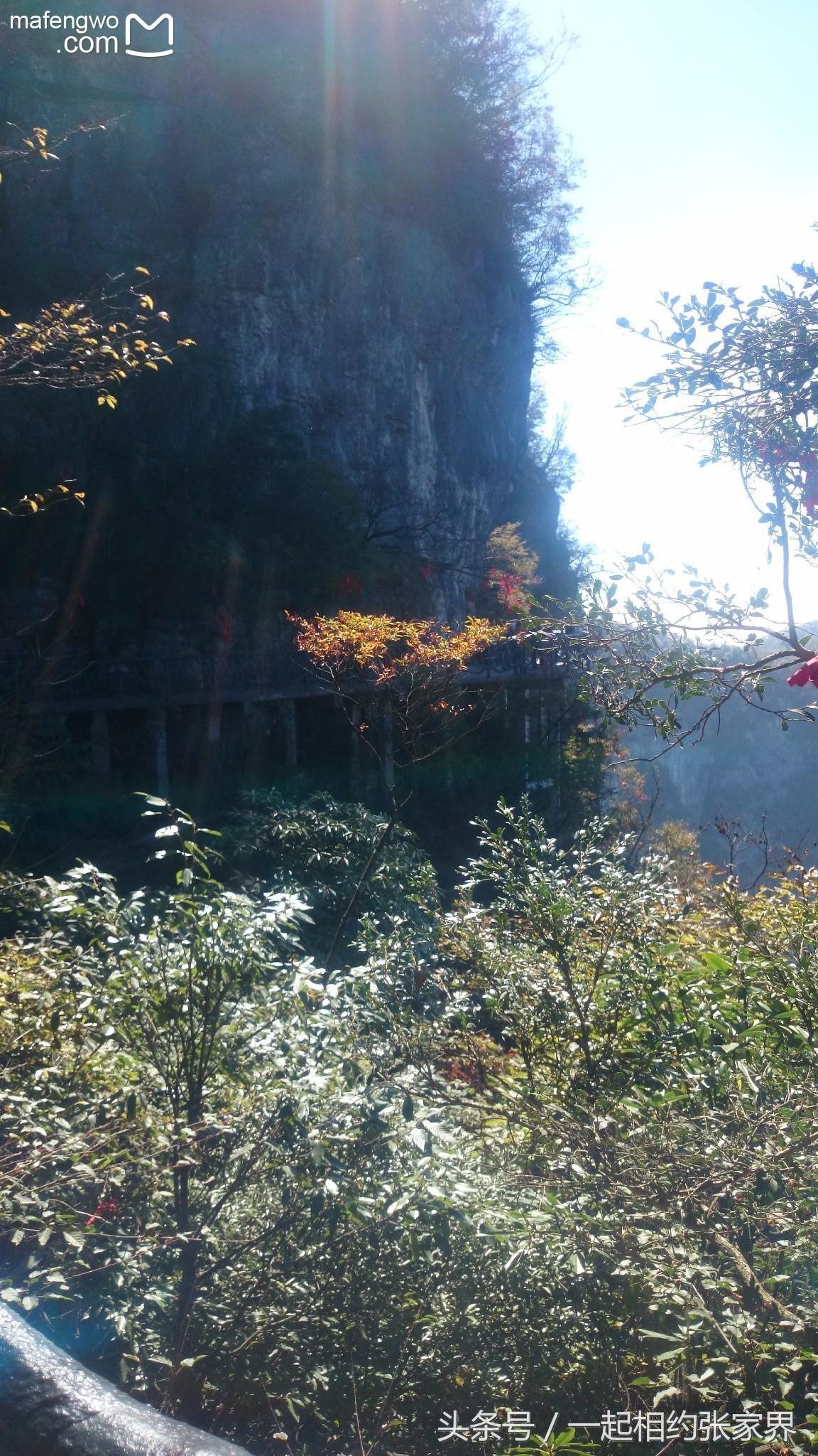张家界机场到天门山自由行攻略,张家界天门山一日游攻略省钱