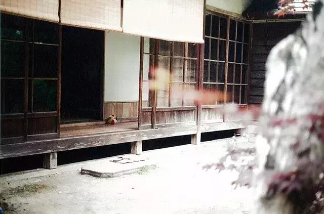 刚刚结束的戛纳电影节，日本导演是枝裕和《小偷家族》斩获金棕榈