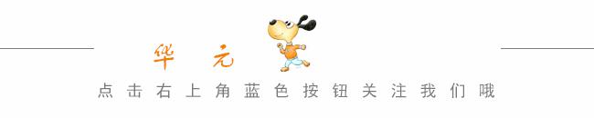 夏天怕狗中暑怎么办,害怕狗狗中暑怎么办