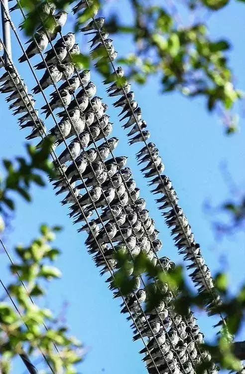 超有气氛的集体照图片,刚拍的你从未见过的集体照