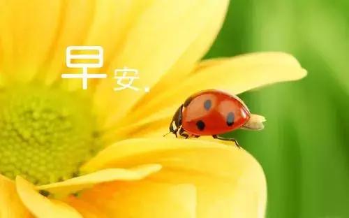 又是全新的一天，新的心情！（06月11日周一早晨）