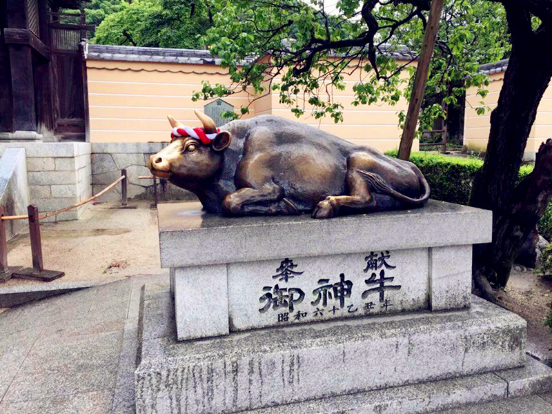 以邮轮开始的小说,以邮轮为题材的作品